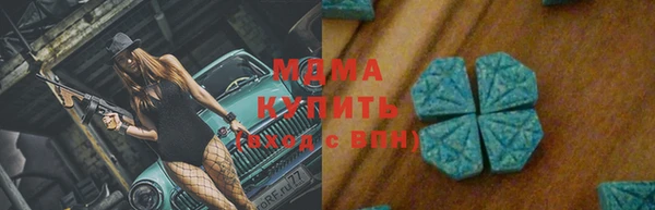 ГАЛЛЮЦИНОГЕННЫЕ ГРИБЫ Тайга
