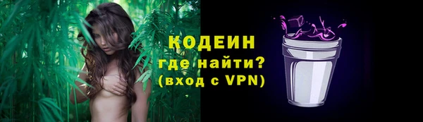 винт Няндома