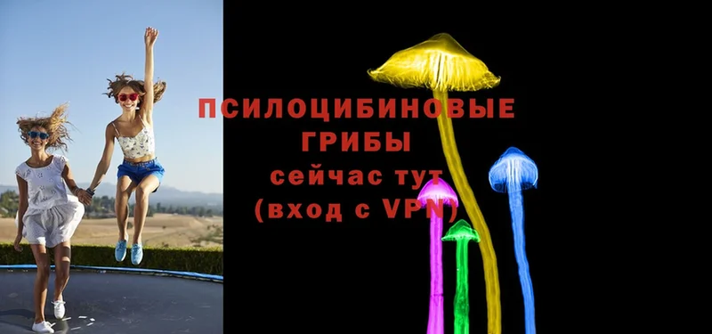 Псилоцибиновые грибы Magic Shrooms  Удомля 