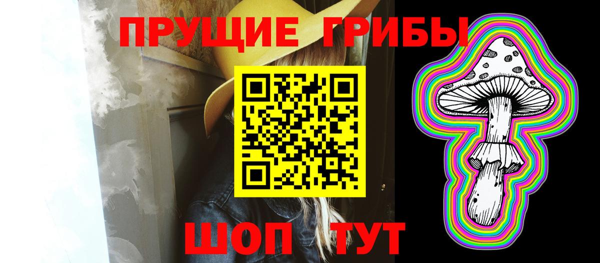 Галлюциногенные грибы Psilocybe  Псилоцибиновые грибы мухоморы  Удомля 