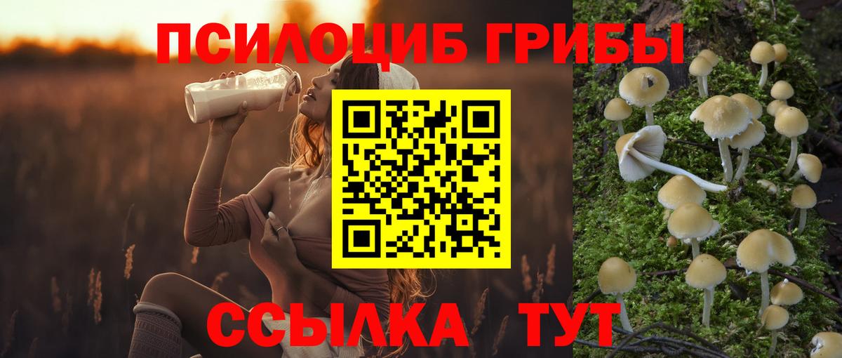 купить наркоту  Галлюциногенные грибы Magic Shrooms  Вход с VPN  Удомля  Псилоцибиновые грибы мухоморы 