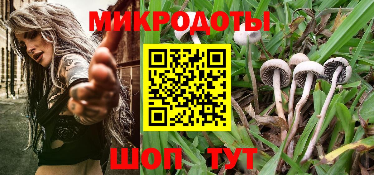 Псилоцибиновые грибы MAGIC MUSHROOMS Удомля