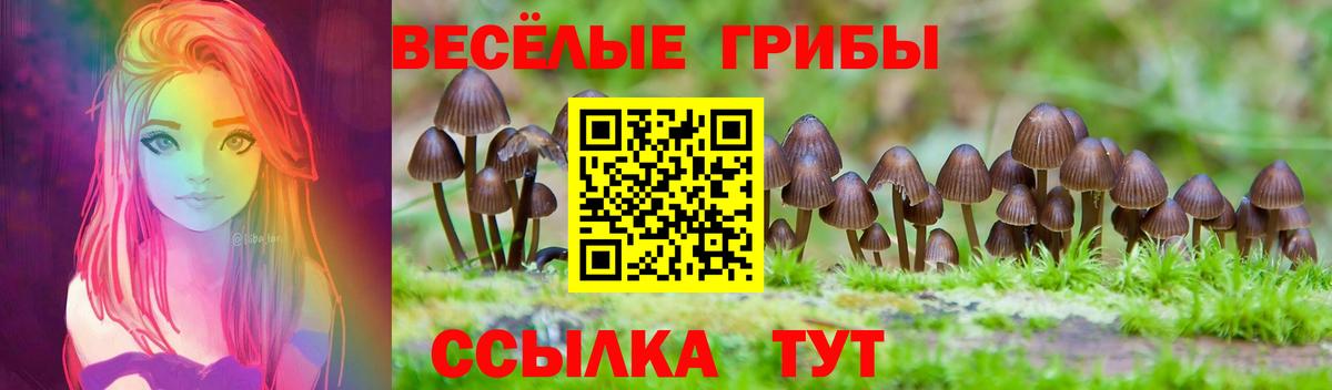 Галлюциногенные грибы Magic Shrooms Удомля